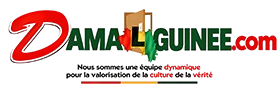 damalguinee.com
