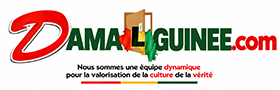 damalguinee.com