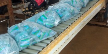 Exclusif : l&rsquo;interdiction des plastiques fait ses premières victimes à Coyah 
