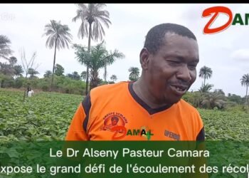 À Kindia, le cri de cœur d&rsquo;un producteur face au calvaire de l&rsquo;écoulement