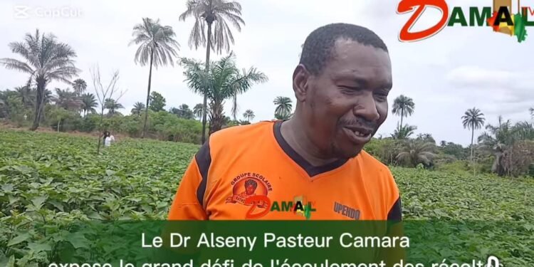 À Kindia, le cri de cœur d&rsquo;un producteur face au calvaire de l&rsquo;écoulement