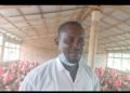 Aviculture en Guinée : Les secrets d&rsquo;un vétérinaire de Kindia pour réussir et rentabiliser sa ferme