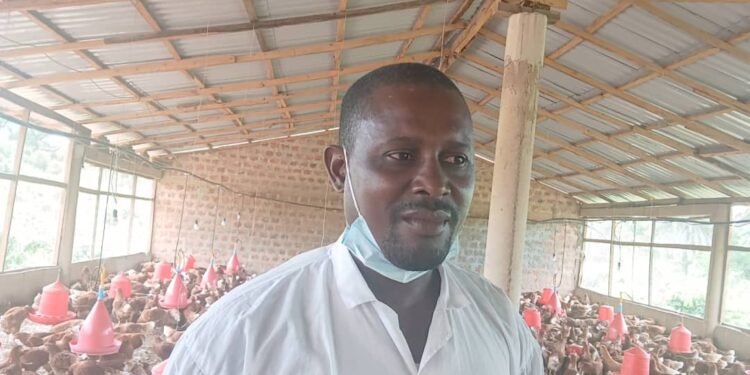 Aviculture en Guinée : Les secrets d&rsquo;un vétérinaire de Kindia pour réussir et rentabiliser sa ferme